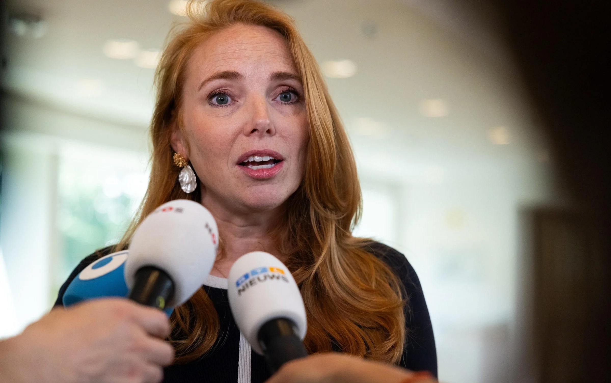 La nederlanda registaro blokas la aĉeton de Solvinity fare de usona firmao